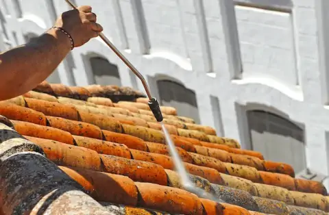 Nettoyage de toitures - Mane